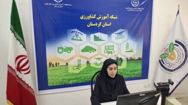 شاک کردستان میزبان دوره‌ای تخصصی با محور شناسایی، پایش و کنترل اصولی آفات کلزا شد