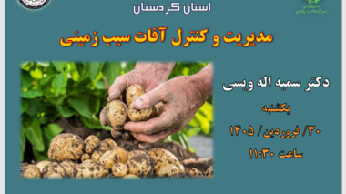 اطلاعیه برگزاری دوره آموزشی مجازی مدیریت آفات سیب‌زمینی