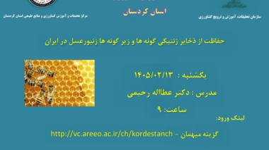 بررسی راهکارهای حفاظت از ذخایر ژنتیکی زنبورعسل در ایران؛ نشست علمی در کردستان