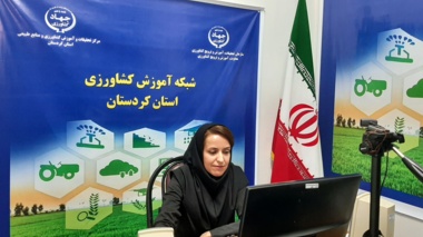 حشرات خوراکی؛ فرصتی نوظهور برای تقویت امنیت غذایی در جهان امروز