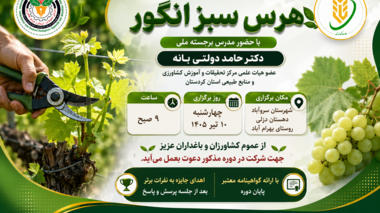 سروآباد میزبان کارگاه تخصصی هرس سبز انگور با تدریس مدرس برجسته ملی
