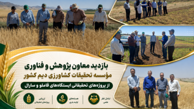 ظرفیت‌های پژوهشی کردستان در کانون توجه مؤسسه تحقیقات کشاورزی دیم کشور؛ بازدید تخصصی از پروژه‌های تحقیقاتی و هسته‌های بذری ایستگاه قاملو و سارال کردستان