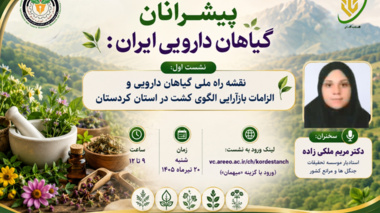 آغاز گفت‌وگوی ملی برای آینده کشت‌های ارزش‌آفرین
