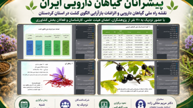 از «نقشه راه ملی» تا «الگوی کشت آینده»؛ نخستین نشست پیشرانان گیاهان دارویی ایران در کردستان برگزار شد