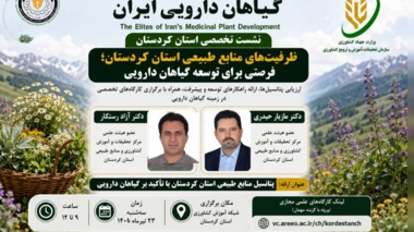 ظرفیت‌های منابع طبیعی کردستان؛ فرصتی برای توسعه گیاهان دارویی
