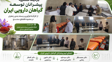 آشنایی با ظرفیت‌های فرآوری، بسته‌بندی و توسعه زنجیره ارزش زعفران در محدوده قشلاق سنندج