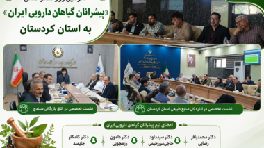 سومین روز سفر علمی «پیشرانان گیاهان دارویی ایران» به کردستان با برگزاری نشست‌های تخصصی در اداره کل منابع طبیعی و اتاق بازرگانی سنندج