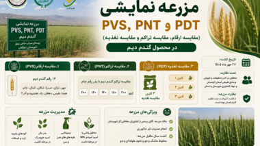 مزرعه نمایشی؛ پلی میان پژوهش، آموزش و کشاورز