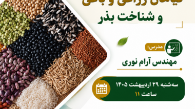 کارگاه تخصصی شناخت بذر و طبقه‌بندی گیاهان در کردستان برگزار می‌شود