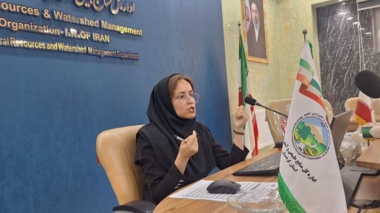 دانش در خدمت صنوبر؛ از تشخیص آفات تا آینده زراعت چوب