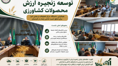 توسعه زنجیره ارزش محصولات کشاورزی؛ محور نشست مشترک مرکز تحقیقات، سازمان جهاد کشاورزی و انشگاه