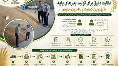 نظارت میدانی بر فرآوری بذر؛ گامی مؤثر برای حفظ کیفیت و خلوص ارقام راهبردی غلات