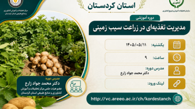 دوره آموزشی «مدیریت تغذیه‌ای در زراعت سیب‌زمینی» در شبکه آموزش کشاورزی استان کردستان برگزار می‌شود