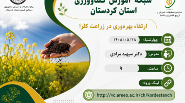 برگزاری وبینار آموزشی «ارتقاء بهره‌وری در زراعت کلزا» در شبکه آموزش کشاورزی کردستان
