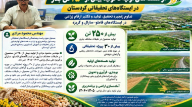 اجرای بیش از ۳۰ پروژه تحقیقاتی و تولید هسته‌های اولیه ده‌ها رقم غلات، حبوبات، دانه‌های روغنی و علوفه‌ای در سال زراعی ۱۴۰۴–۱۴۰۵