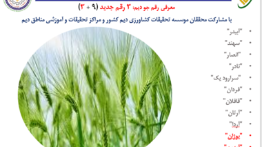 معرفی سه رقم جدید جو دیم با مشارکت محققان مؤسسه تحقیقات کشاورزی دیم کشور و مراکز تحقیقات و آموزش