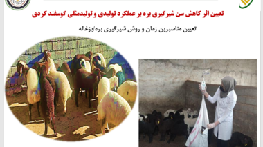 تعیین اثر کاهش سن شیرگیری بره بر عملکرد تولیدی و تولیدمثلی گوسفند کردی
