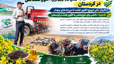 کاملینا در مسیر تنوع‌بخشی به الگوی کشت