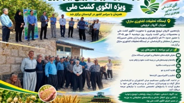 «سارال» میزبان یازدهمین کاروان ترویج بهره‌وری با محوریت الگوی کشت ملی