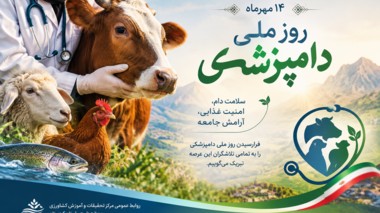 از سلامت دام تا سلامت انسان؛ زنجیره‌ای که با دانش دامپزشکی استوار می‌ماند.