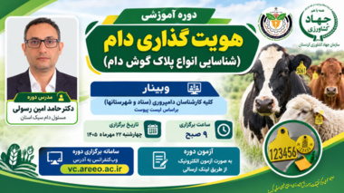هویت‌گذاری دام؛ محور آموزش تخصصی کارشناسان دامپروری کردستان