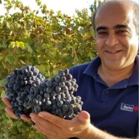 آقای دکتر حامد دولتی